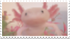 axolotl in a box like container stamp