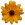 small animated sunflower