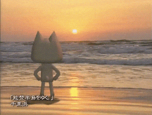 toro inoue, a white cat, watching the sunset near the ocean waves on the beach