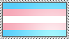 transgender flag box